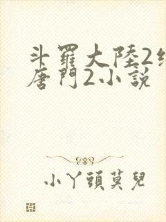 斗罗大陆2绝世唐门2小说