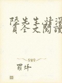 陆先生,情深不负全文阅读免费