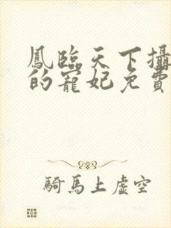 凤临天下摄政王的宠妃免费阅读