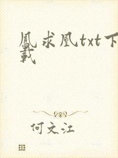 凤求凰txt下载