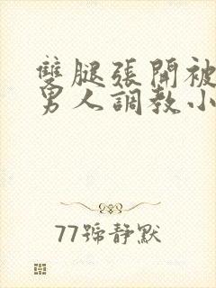 双腿张开被5个男人调教小说封面