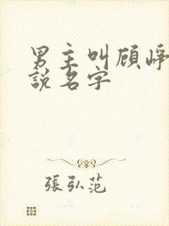 男主叫顾峥的小说名字