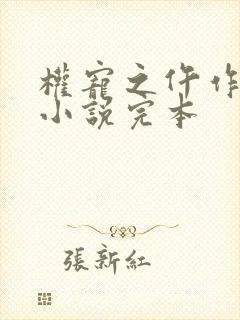 权宠之仵作医妃小说完本