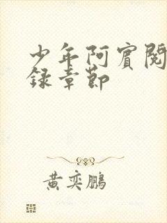 少年阿宾阅读目录章节