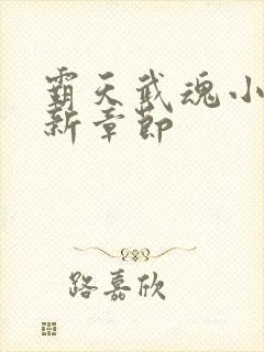 霸天武魂小说最新章节封面