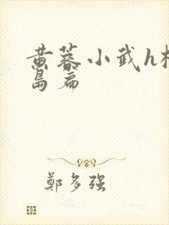 黄蓉小武h桃花岛篇