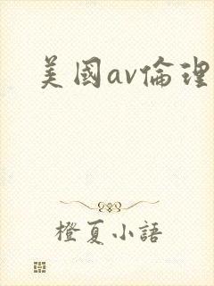 美国av伦理片封面
