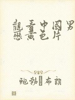 观看中国男同性恋黄色片封面