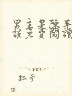 男主是陈平的小说免费阅读