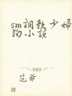 sm调教少妇母狗小说