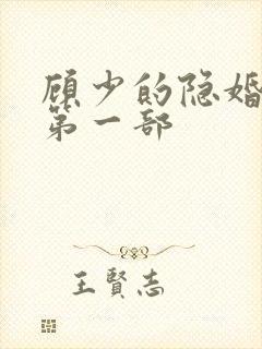 顾少的隐婚罪妻第一部封面