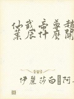 仙武帝尊赵云和叶辰什么关系