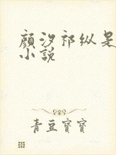 颜汐祁纵是什么小说