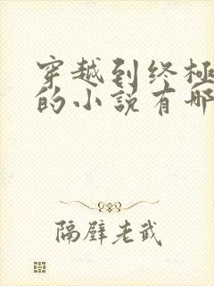 穿越到终极斗罗的小说有哪些封面