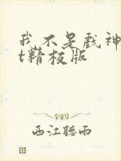 我不是戏神txt精校版