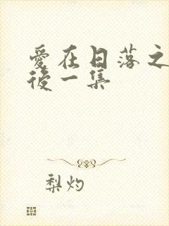 爱在日落之前最后一集