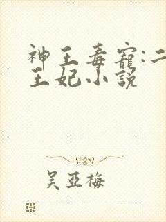 神王毒宠:二嫁王妃小说