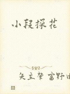 小段探花封面
