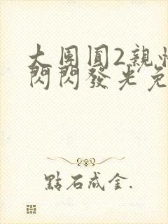 大团圆2亲情会闪闪发光免费