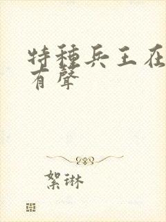 特种兵王在山村有声封面