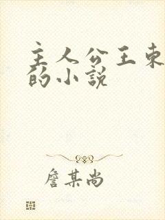 主人公王东唐潇的小说