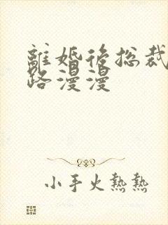 离婚后总裁追妻路漫漫封面