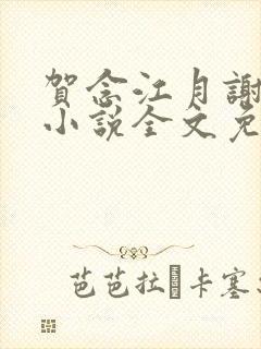 贺念江月谢泊年小说全文免费阅读笔趣阁