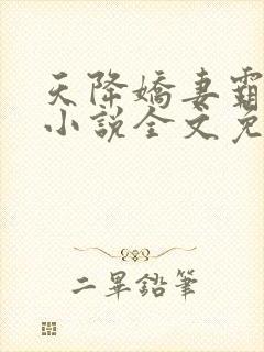 天降娇妻霸道宠小说全文免费阅读