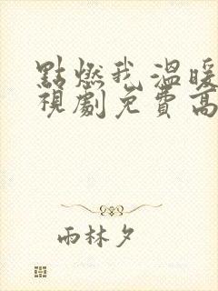 点燃我温暖你电视剧免费高清观看