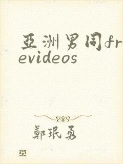 亚洲男同freevideos