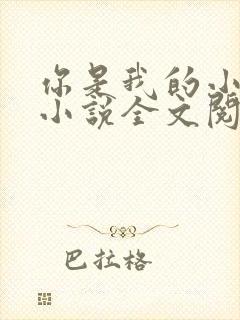 你是我的小确幸小说全文阅读