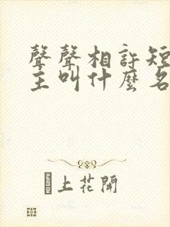 声声相许短剧男主叫什么名字