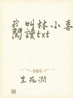 我叫林小喜免费阅读txt
