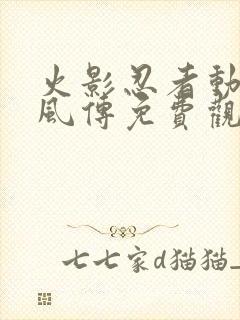 火影忍者动漫疾风传免费观看