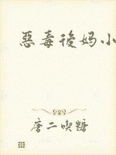恶毒后妈小说