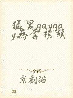 猛男gaygay无套视频