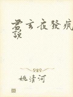 君玄夜发疯的小说