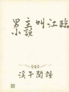 男主叫江临舟的小说