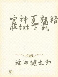 官神夏想精校正版txt下载