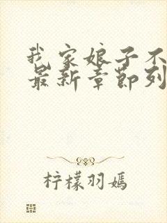 我家娘子不对劲最新章节列表最