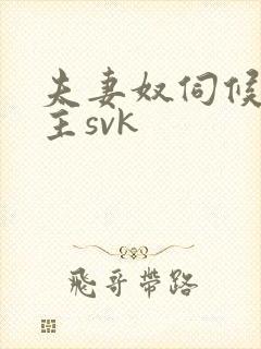 夫妻奴伺候夫妻主svk封面