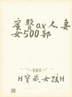 蜜臀av人妻熟女500部