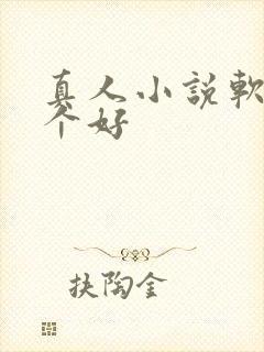 真人小说软件哪个好