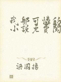 我那可怜的妈妈小说免费阅读封面