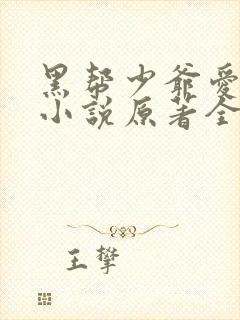 黑帮少爷爱上我小说原著全文免费阅读