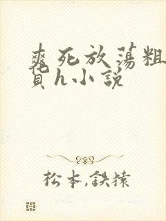 爽死放荡粗暴淫货h小说