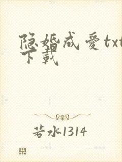 隐婚成爱txt下载