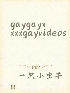 gaygayxxxxgayvideos