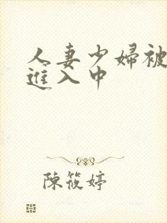 人妻少妇被猛烈进入中