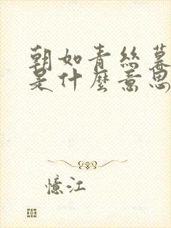 朝如青丝暮成雪是什么意思